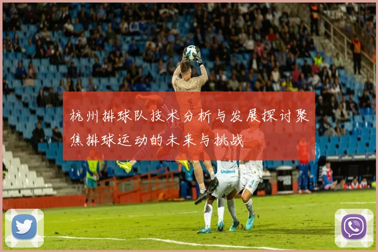 杭州排球队技术分析与发展探讨聚焦排球运动的未来与挑战