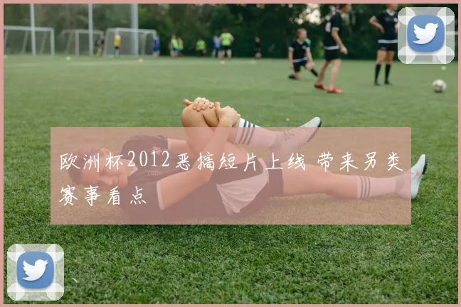 欧洲杯2012恶搞短片上线 带来另类赛事看点