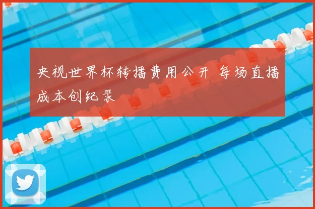 央视世界杯转播费用公开 每场直播成本创纪录