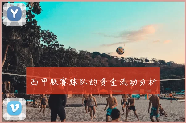 西甲联赛球队的资金流动分析