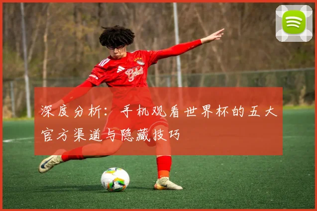 深度分析：手机观看世界杯的五大官方渠道与隐藏技巧