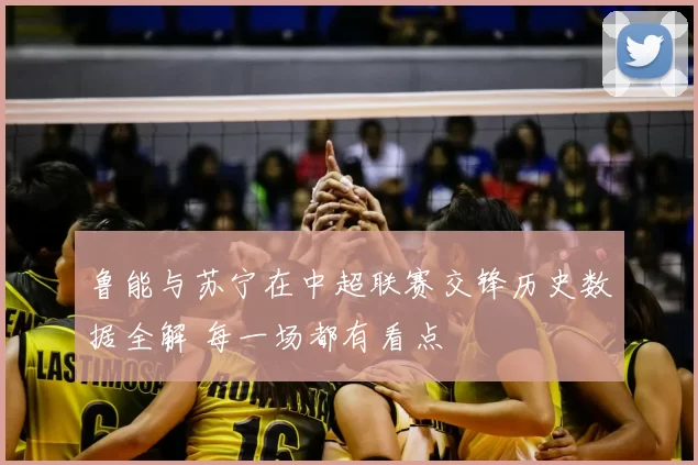 鲁能与苏宁在中超联赛交锋历史数据全解 每一场都有看点