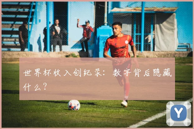 世界杯收入创纪录：数字背后隐藏什么？