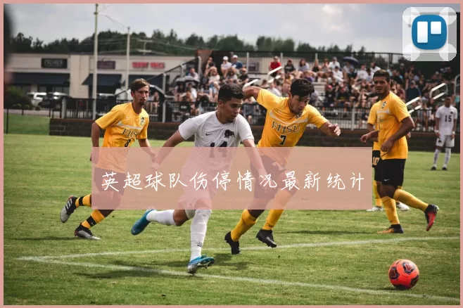 英超球队伤停情况最新统计