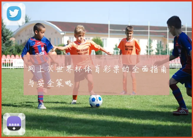 网上买世界杯体育彩票的全面指南与安全策略