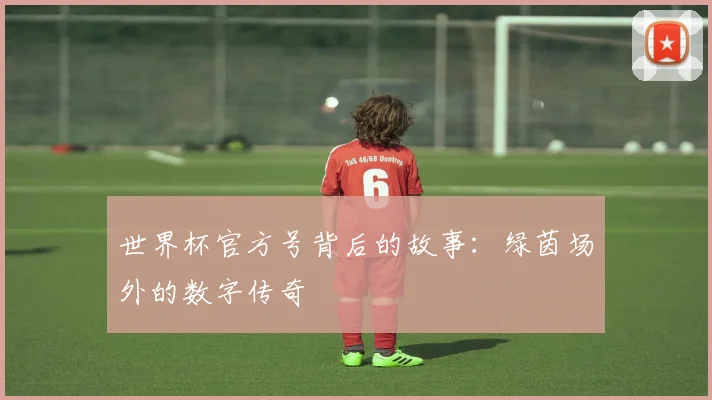 世界杯官方号背后的故事:绿茵场外的数字传奇