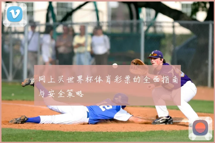 网上买世界杯体育彩票的全面指南与安全策略