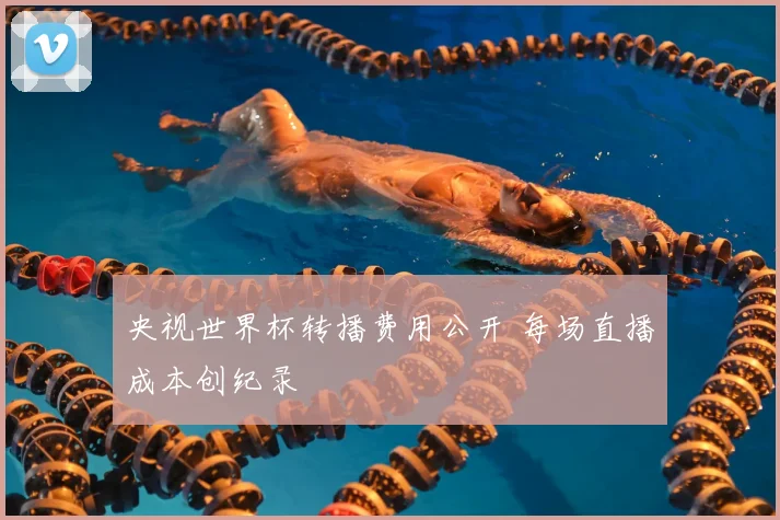 央视世界杯转播费用公开 每场直播成本创纪录