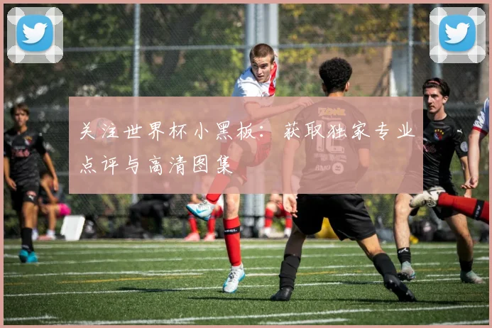 关注世界杯小黑板：获取独家专业点评与高清图集