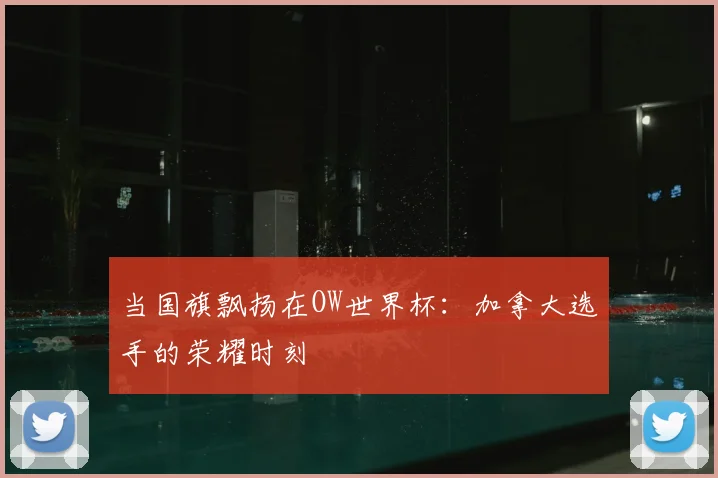 当国旗飘扬在OW世界杯:加拿大选手的荣耀时刻
