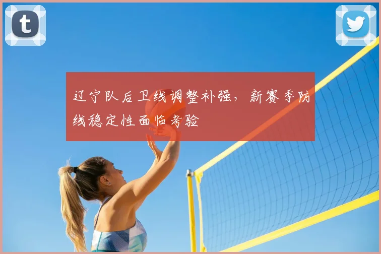 辽宁队后卫线调整补强，新赛季防线稳定性面临考验
